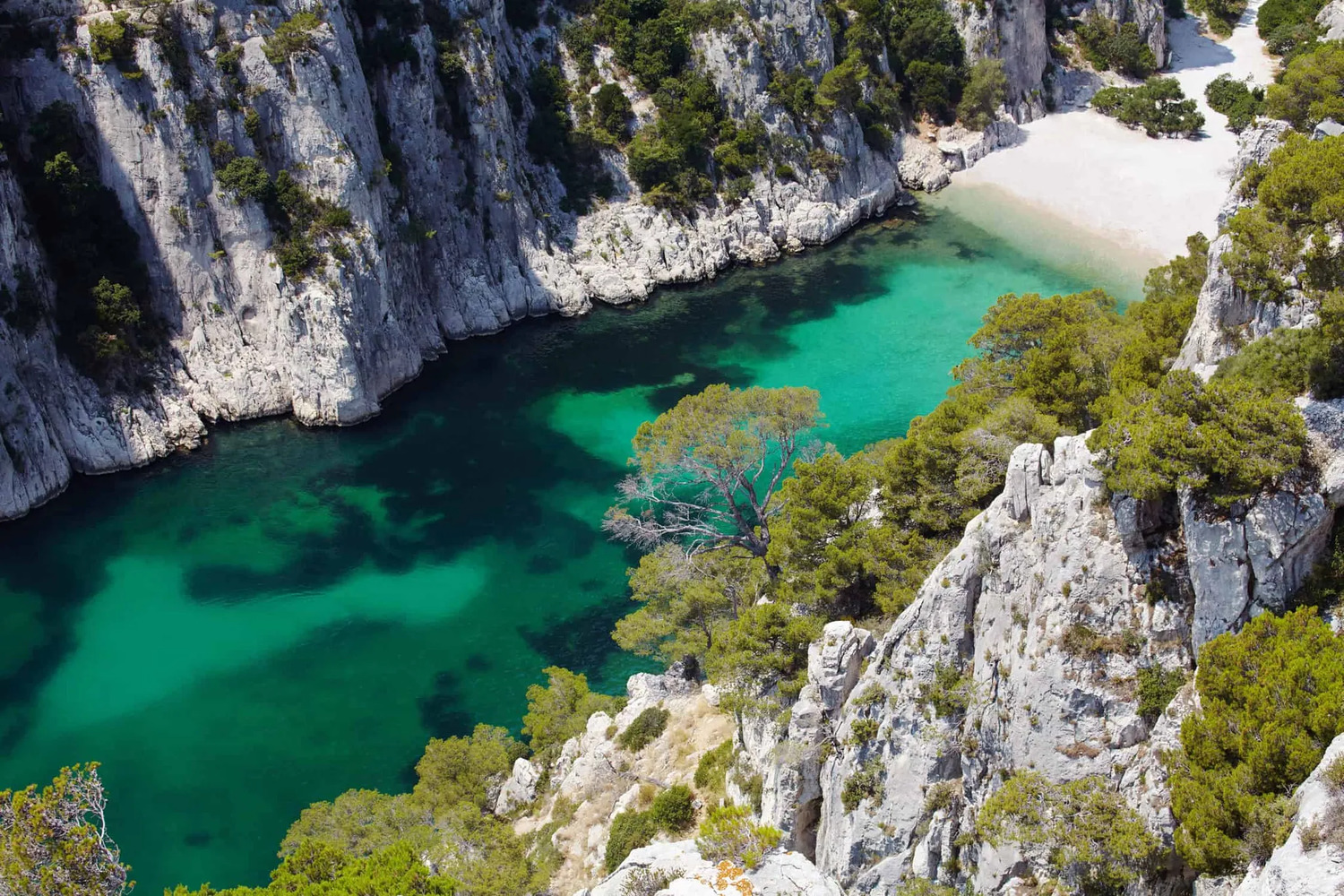 Les calanques : Un terrain de jeu exceptionnel pour les passionnés d'escalade